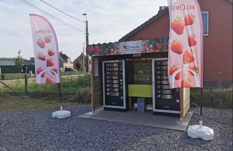 Linkertse Aardbei — Fattoria, Lummen