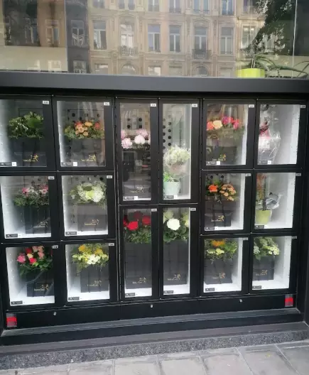 Brussels Flowers — Bloemist, Bruxelles - Brussel